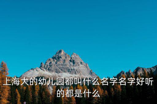上海市幼托一體化公辦幼兒園，中鐵南苑幼兒園屬于公辦園嗎