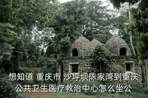 想知道 重慶市 沙坪壩陳家灣到重慶公共衛生醫療救治中心怎么坐公