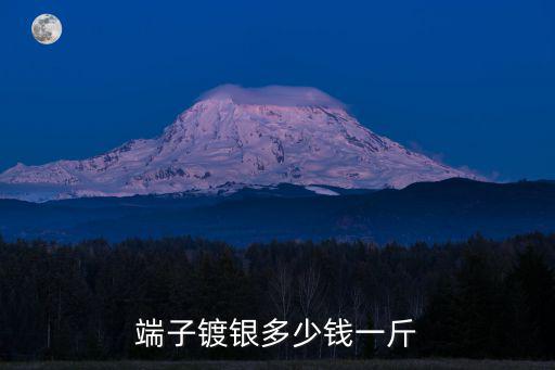 端子鍍銀多少錢一斤