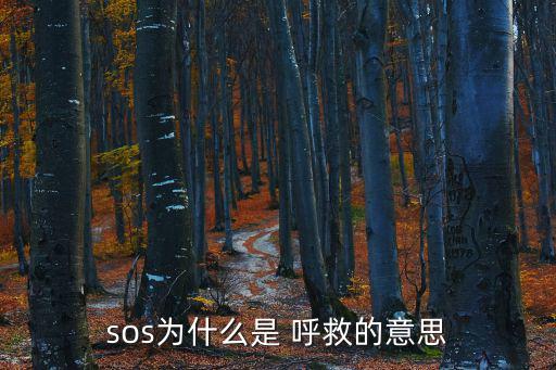 sos為什么是 呼救的意思