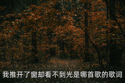 倔強的堅強，倔強的堅強的歌詞