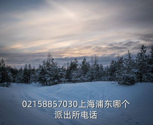 02158857030上海浦東哪個派出所電話