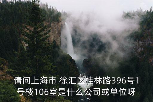 請問上海市 徐匯區桂林路396號1號樓106室是什么公司或單位呀