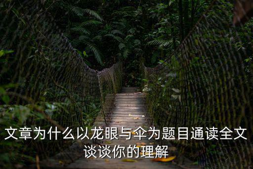 龍眼與傘，遲子建龍眼與傘句子賞析