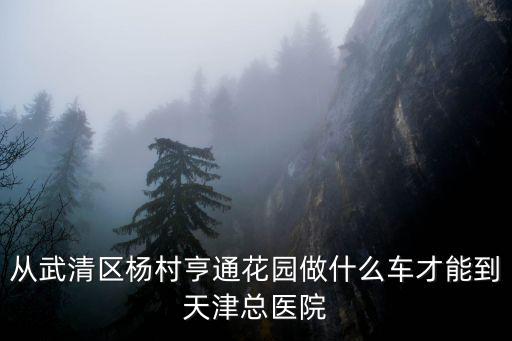 從武清區楊村亨通花園做什么車才能到天津總醫院