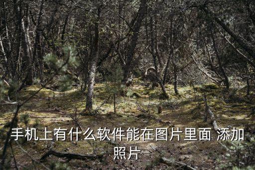 添加圖片,點擊菜單欄選擇插入圖片下拉列表