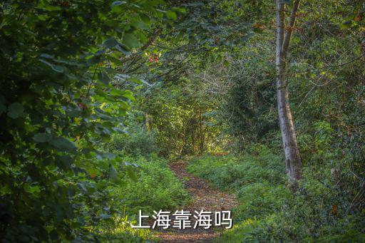 上海靠海嗎