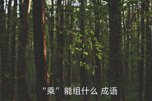 乘的成語,乘風(fēng)破浪不是我的錯(cuò)
