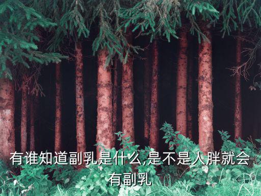 有誰知道副乳是什么,是不是人胖就會有副乳