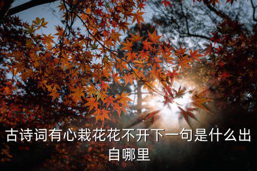 有心栽花花不開，根椐詩句寫成語 有心栽花花不開