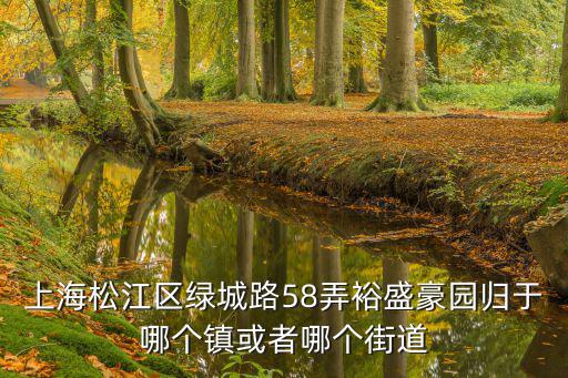 上海市58弄是哪個區，浦東新區嚴橋路58弄屬于哪個街道