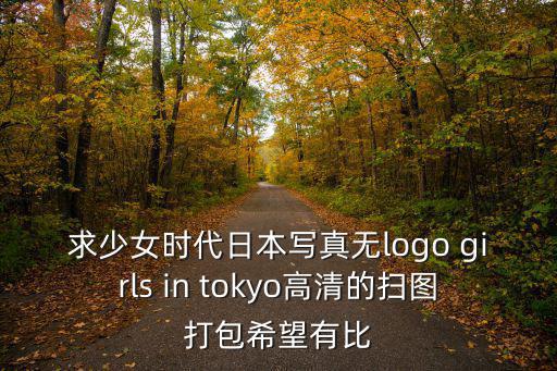 日本寫真，請問哪里可以買到日本寫真集