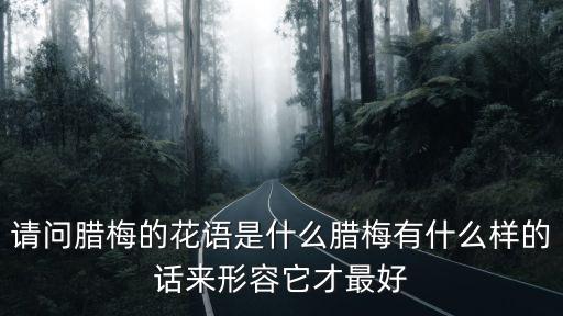 請(qǐng)問(wèn)臘梅的花語(yǔ)是什么臘梅有什么樣的話來(lái)形容它才最好