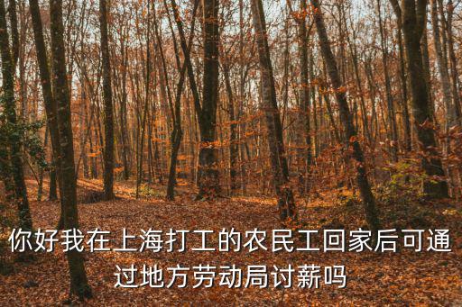 你好我在上海打工的農(nóng)民工回家后可通過地方勞動局討薪嗎
