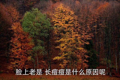  臉上老是 長痘痘是什么原因呢