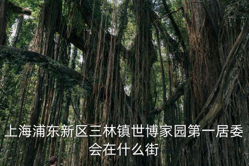 上海市三林鎮(zhèn)村委會，上海浦東新區(qū)三林鎮(zhèn)世博家園第一居委會在什么街