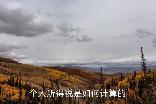 個稅算法,2020年的個稅計算方法
