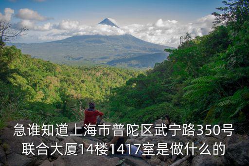 急誰知道上海市普陀區(qū)武寧路350號聯(lián)合大廈14樓1417室是做什么的