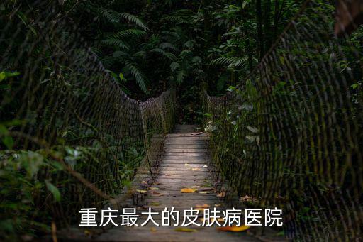 重慶市渝中區(qū)皮膚專(zhuān)科，重慶最大的皮膚病醫(yī)院