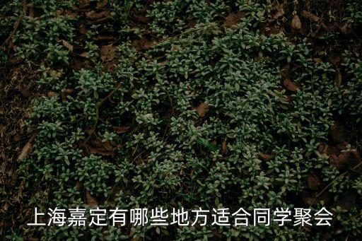 上海嘉定有哪些地方適合同學(xué)聚會