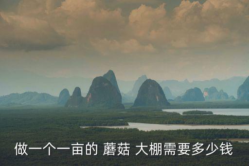 做一個一畝的 蘑菇 大棚需要多少錢