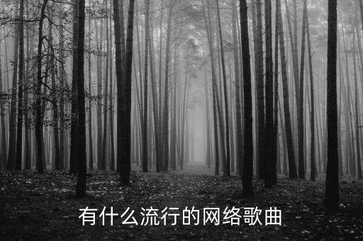 有什么流行的網絡歌曲