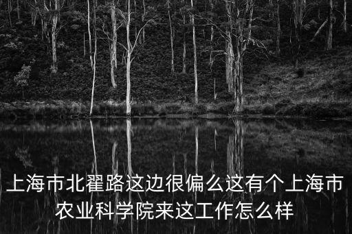 上海市北翟路這邊很偏么這有個上海市農業科學院來這工作怎么樣
