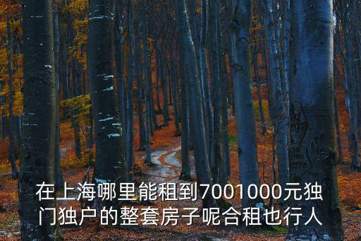 在上海哪里能租到7001000元獨(dú)門獨(dú)戶的整套房子呢合租也行人