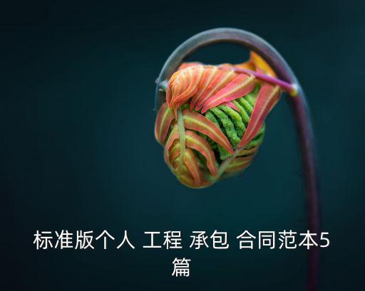 標(biāo)準(zhǔn)版?zhèn)€人 工程 承包 合同范本5篇