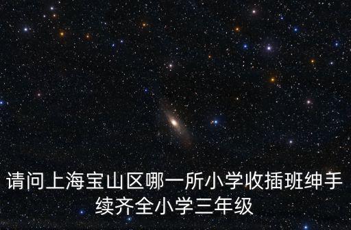 請(qǐng)問上海寶山區(qū)哪一所小學(xué)收插班紳手續(xù)齊全小學(xué)三年級(jí)