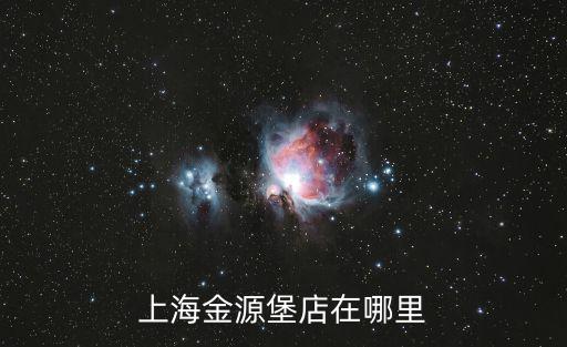 上海金源堡店在哪里