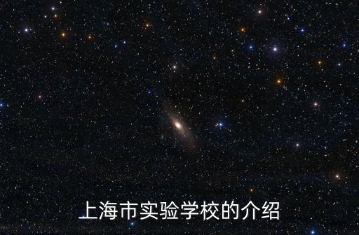 上海市實驗學校的介紹