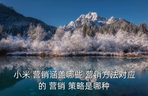  小米 營銷涵蓋哪些 營銷方法對應的 營銷 策略是哪種