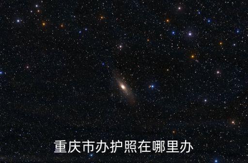 重慶市辦護(hù)照在哪里辦