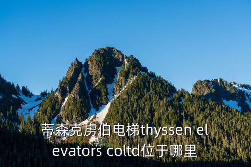 蒂森克虜伯電梯thyssen elevators coltd位于哪里