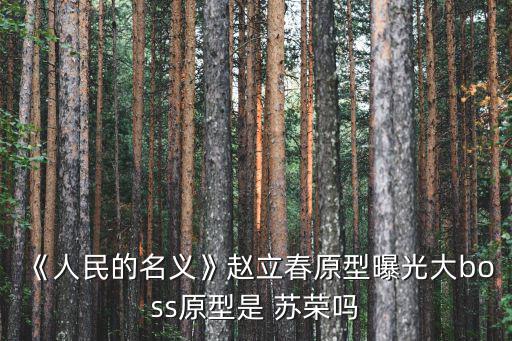 蘇榮的兒子,蒙古皇帝授予札親王和前線英雄稱號