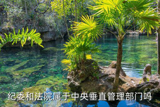 重慶市垂管單位紀檢，紀委和法院屬于中央垂直管理部門嗎