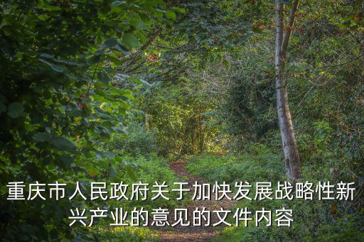 重慶市人民政府關于加快發(fā)展戰(zhàn)略性新興產(chǎn)業(yè)的意見的文件內(nèi)容