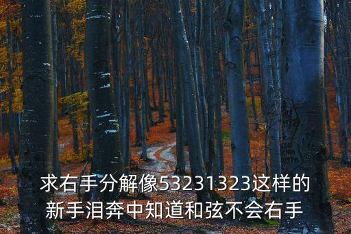 求右手分解像53231323這樣的新手淚奔中知道和弦不會右手