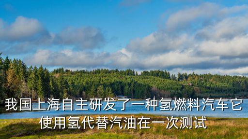 我國上海自主研發了一種氫燃料汽車它使用氫代替汽油在一次測試