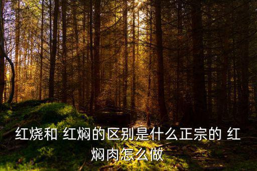 紅燒和 紅燜的區別是什么正宗的 紅燜肉怎么做