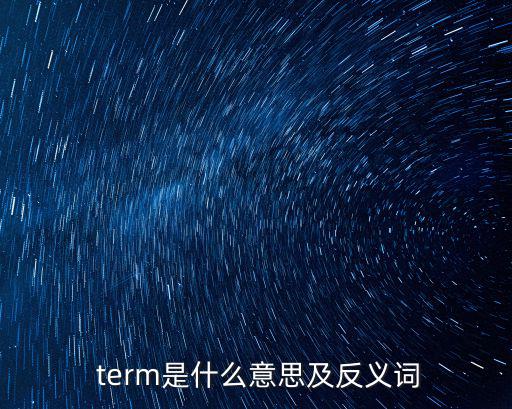  term是什么意思及反義詞