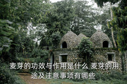 麥芽的功效,營養(yǎng)知多少?問與答（13）