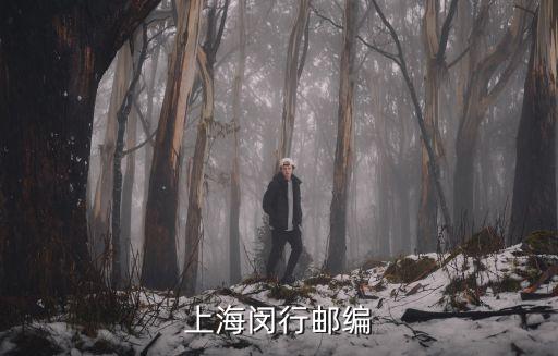 上海閔行郵編