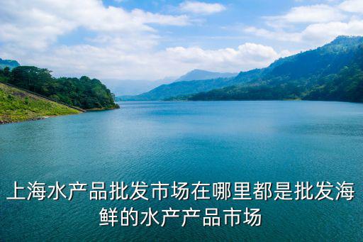 上海水產品批發市場在哪里都是批發海鮮的水產產品市場