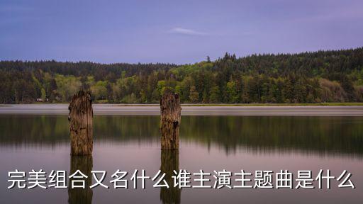 完美組合又名什么誰主演主題曲是什么