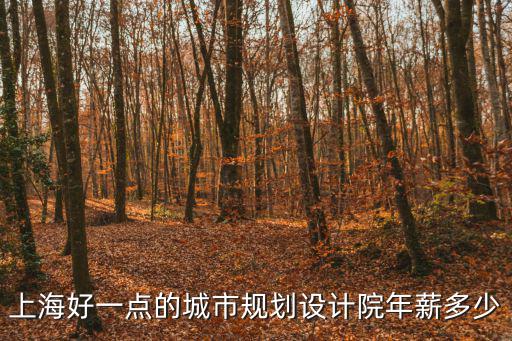 上海好一點(diǎn)的城市規(guī)劃設(shè)計(jì)院年薪多少