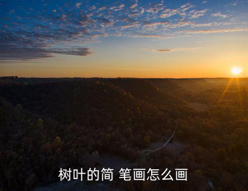 樹葉的簡 筆畫怎么畫