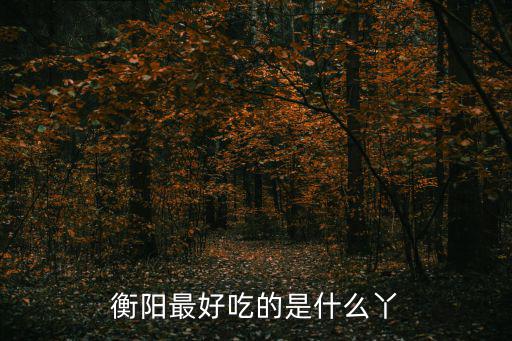 衡陽最好吃的是什么丫