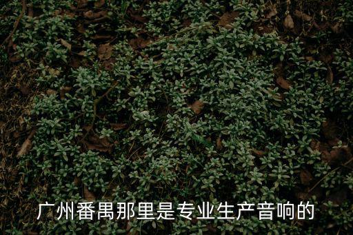 廣州番禺那里是專業生產音響的